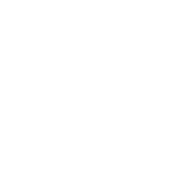 health-icon-wine-white